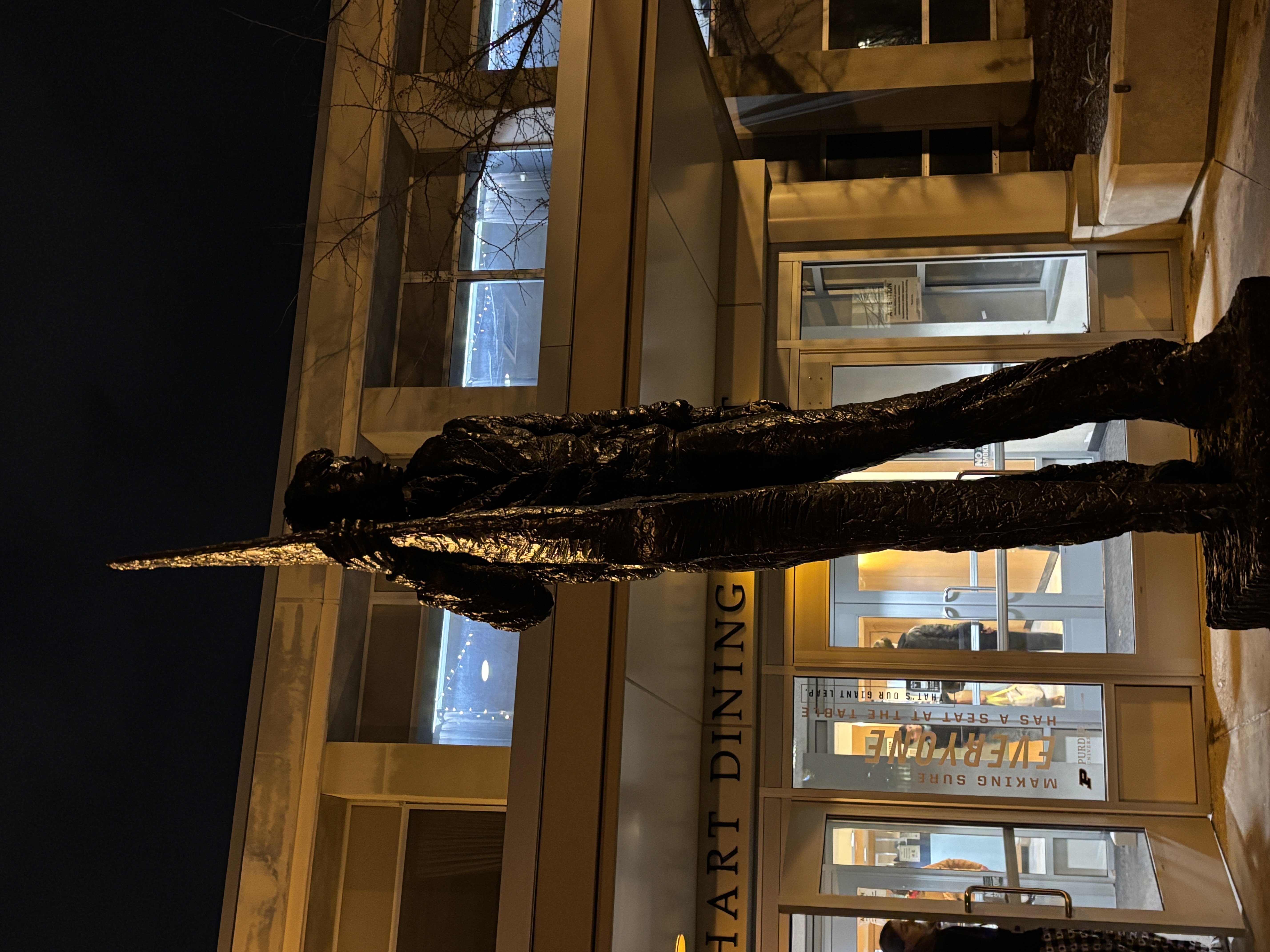 Air Heart Hall Photo